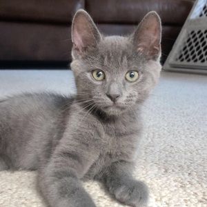 Meet your Posher, Alexandra